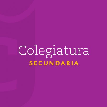 Colegiatura Secundaria
